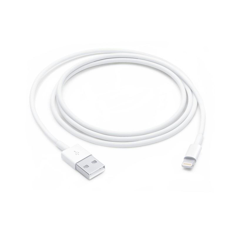 Apple Lightning to Usb-A Cable 1m Copy