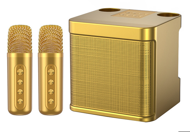 SU-YOSD Wireless Karaoke Speaker With Two Wireless Microphone YS-213